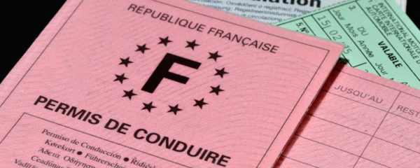 Papier-pour-carte-grise